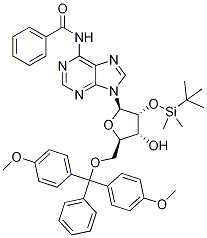 5'-O-DMT-2'-O-TBDMS-N-Bz-Adenosine CAS#: 81265-93-2