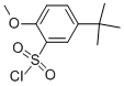 5-TERT-BUTYL-2-METHOXY-BENZENESULFONYL CHLORIDE CAS#: 88041-83-2