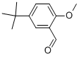 5-(TERT-BUTYL)-2-METHOXYBENZENECARBALDEHYDE CAS#: 85943-26-6