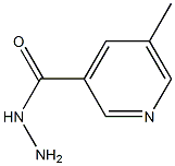 5-methylpyridine-3-carbohydrazide CAS#: 808127-97-1