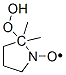 5,5-dimethyl-5-hydroperoxy-1-pyrrolidinyloxy CAS#: 85963-89-9