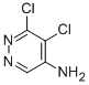 5,6-dichloropyridazin-4-amine CAS#: 89180-50-7
