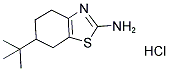 6-TERT-BUTYL-4,5,6,7-TETRAHYDRO-BENZOTHIAZOL-2-YLAMINE HYDROCHLORIDE CAS#: 81779-11-5