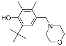 6-tert-butyl-4-(morpholinomethyl)-2,3-xylenol CAS#: 84824-98-6