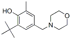 6-tert-butyl-4-(morpholinomethyl)-o-cresol CAS#: 84824-97-5