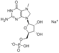 7-METHYLGUANOSINE 5'-MONOPHOSPHATE*SODIU M CAS#: 84567-50-0