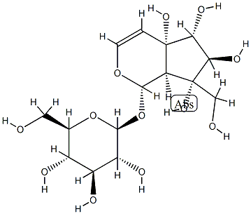 [(1S,7S)-1,4a,5,6,7,7aα-Hexahydro-4aα,5α,6β,7α-tetrahydroxy-7-(hydroxymethyl)cyclopenta[c]pyran-1α-yl]β-D-glucopyranoside CAS#: 80666-56-4