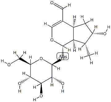 (1S)-1α-(β-D-Glucopyranosyloxy)-1,4aα,5,6,7,7aα-hexahydro-6α-hydroxy-7α-methylcyclopenta[c]pyran-4-carbaldehyde CAS#: 81927-53-9
