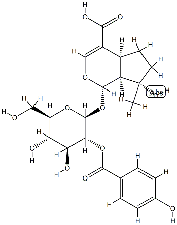 2′-p-Hydroxybenzoyl mussaenosidic acid CAS#: 82451-20-5