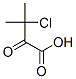 Butyric acid, 3-chloro-3-methyl-2-oxo- (7CI) CAS#: 89323-58-0