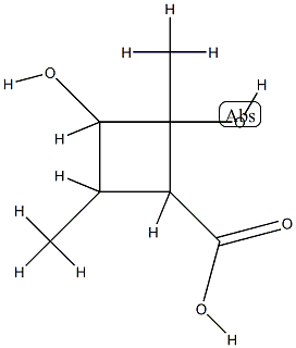 Cyclobutanecarboxylic acid, 2,3-dihydroxy-2,4-dimethyl- (6CI,7CI) CAS#: 89941-76-4
