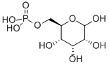 D-ALLOSE-6-PHOSPHATE CAS#: 82259-50-5