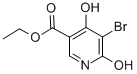 Ethyl 5-bromo-4,6-dihydroxynicotinate CAS#: 89978-58-5