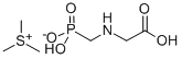 Glyphosphate-trimesium CAS#: 81591-81-3