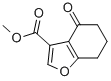 METHYL 4-OXO-4,5,6,7-TETRAHYDRO-1-BENZOFURAN-3-CARBOXYLATE CAS#: 82584-78-9