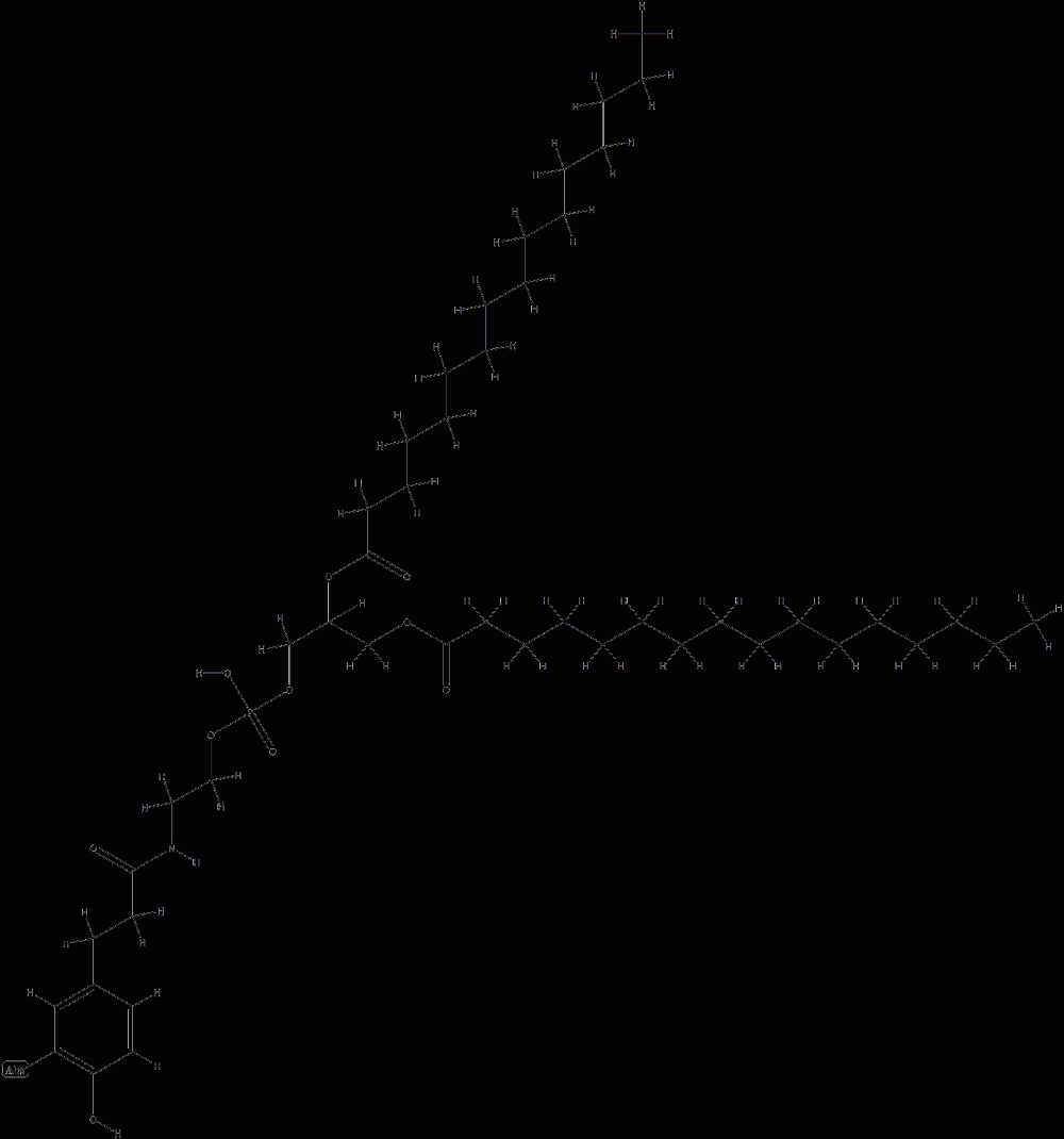 N-(3-(3-iodo-4-hydroxybenzyl)propionyl)-1,2-dipalmitoylphosphatidylethanolamine CAS#: 83016-61-9