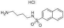 N-(4-AMINOBUTYL)-2-NAPHTHALENESULFONAMIDE HYDROCHLORIDE CAS#: 89108-46-3