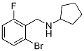 N-Cyclopentyl 2-broMo-6-fluorobenzylaMine CAS#: 827328-91-6