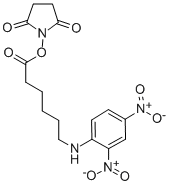 N-SUCCINIMIDYL 6-(2,4-DINITROANILINO)HEXANOATE CAS#: 82321-04-8