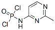 Phosphoramidic dichloride, (2-methyl-4-pyrimidinyl)- (8CI) CAS#: 801199-53-1