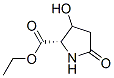 Proline, 3-hydroxy-5-oxo-, ethyl ester (7CI) CAS#: 89775-97-3