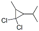Propane, 2-(2,2-dichloro-3-methylcyclopropyl)- (7CI) CAS#: 89891-44-1
