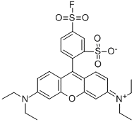 SULFORHODAMINE B 5-ACID FLUORIDE CAS#: 86368-10-7