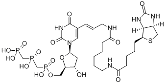 biotin-11-dUTP CAS#: 86303-25-5
