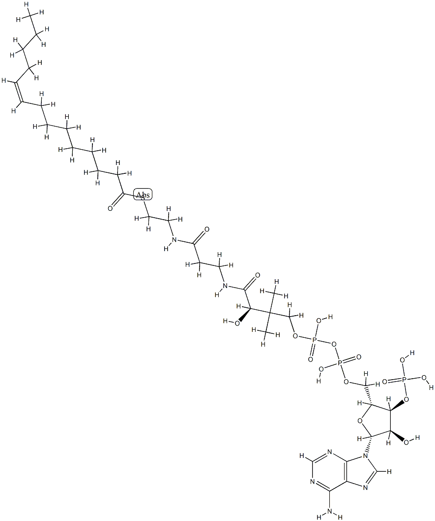 coenzyme A myristoleoyl derivative (C14:1), lithium salt CAS#: 87935-97-5