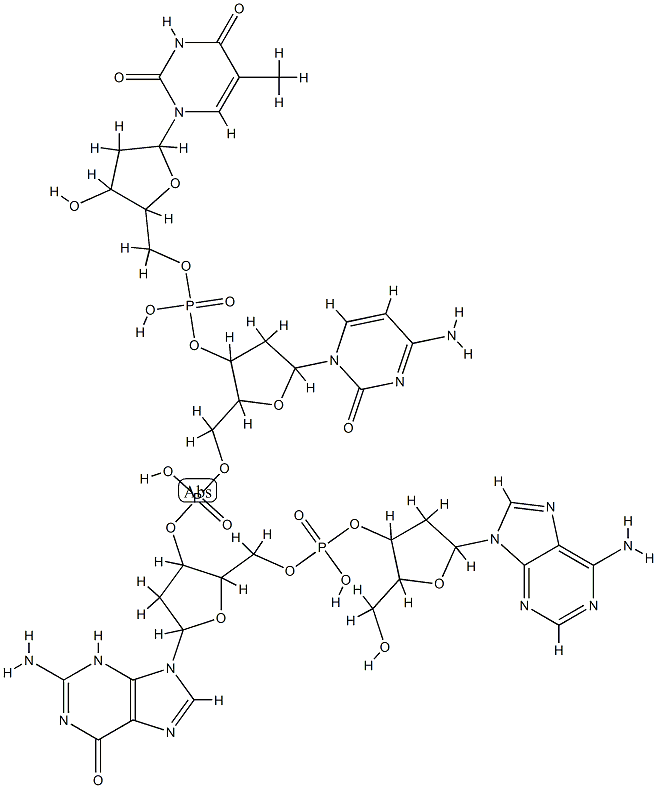 deoxy(thymidylyl-cytidylyl-guanylyl-adenylic acid) CAS#: 84520-45-6