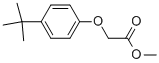methyl 2-(4-tert-butylphenoxy)acetate CAS#: 88530-52-3
