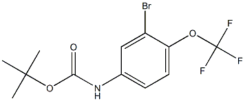 tert-butyl (3-bromo-4-(trifluoromethoxy)phenyl)carbamate CAS#: 839715-01-4