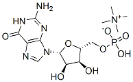 tetramethylammonium guanosine 5'-monophosphate CAS#: 89999-10-0