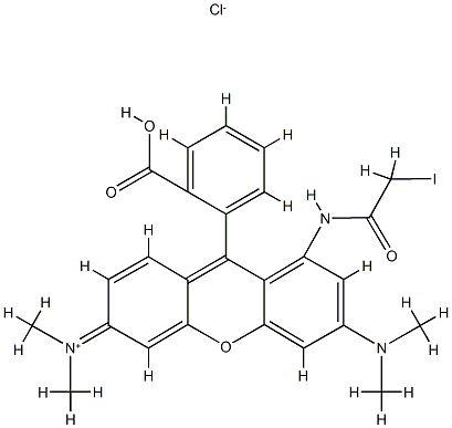 tetramethylrhodamine iodoacetamide CAS#: 81235-33-8