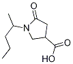 1-(1-Methylbutyl)-5-oxopyrrolidine-3-carboxylic acid CAS#: 845546-22-7
