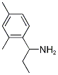 1-(2,4-dimethylphenyl)propan-1-amine(SALTDATA: HCl) CAS#: 886496-82-8