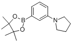 1-[3-(4,4,5,5-TETRAMETHYL-1,3,2-DIOXABOROLAN-2-YL)PHENYL]PYRROLIDINE CAS#: 857283-63-7