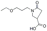 1-(3-ETHOXY-PROPYL)-5-OXO-PYRROLIDINE-3-CARBOXYLIC ACID CAS#: 845546-17-0