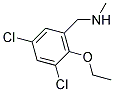1-(3,5-DICHLORO-2-ETHOXYPHENYL)-N-METHYLMETHANAMINE CAS#: 880805-32-3
