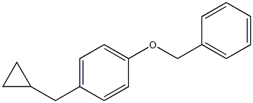 1-(Benzyloxy)-4-(cyclopropylMethyl)benzene CAS#: 868699-62-1