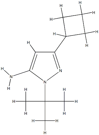 1-Tert-Butyl-3-Cyclobutyl-1H-pyrazol-5-amine CAS#: 817641-86-4