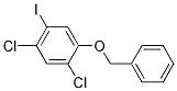 1-(benzyloxy)-2,4-dichloro-5-iodobenzene CAS#: 847560-51-4