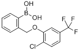 2-((2-CHLORO-5-(TRIFLUOROMETHYL)PHENOXY& CAS#: 849062-11-9
