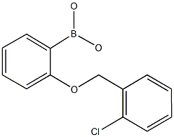 2-(2'-Chlorobenzyloxy)phenylboronic acid CAS#: 870777-21-2