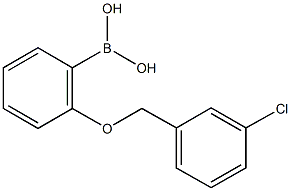 2-(3'-CHLOROBENZYLOXY)PHENYLBORONIC ACID CAS#: 849062-32-4