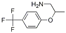 2-(4-(trifluoroMethyl)phenoxy)propan-1-aMine CAS#: 886763-49-1
