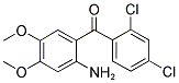 (2-AMINO-4,5-DIMETHOXY-PHENYL)-(2,4-DICHLORO-PHENYL)-METHANONE CAS#: 886494-74-2