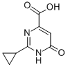 2-CYCLOPROPYL-6-OXO-1,6-DIHYDRO-PYRIMIDINE-4-CARBOXYLIC ACID CAS#: 858956-25-9
