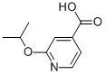 2-ISOPROPOXY-ISONICOTINIC ACID CAS#: 862507-33-3