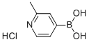 2-METHYL-4-PYRIDINEBORIC ACID HCL CAS#: 861905-97-7